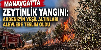 Manavgat’ta Zeytinlik Yangını: Akdeniz’in Yeşil Altınları Alevlere Teslim Oldu