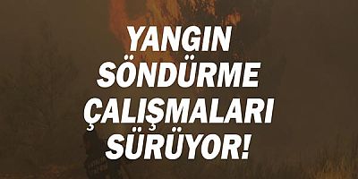 Manavgat Yangın Söndürme Çalışmaları Sürüyor
