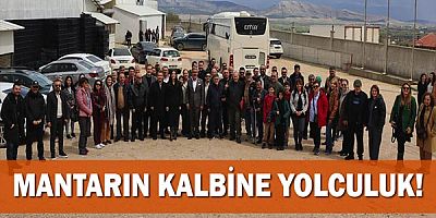 Mantarın Kalbine Yolculuk!