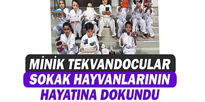 Minik tekvandocular sokak hayvanlarının hayatına dokundu