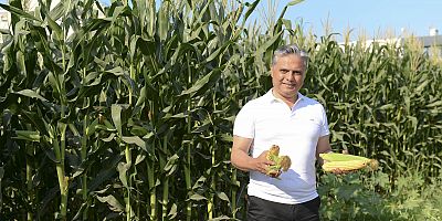 Muratpaşa belediyesi