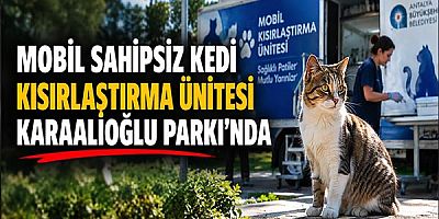 Mobil sahipsiz kedi kısırlaştırma ünitesi Karaalioğlu Parkı’nda