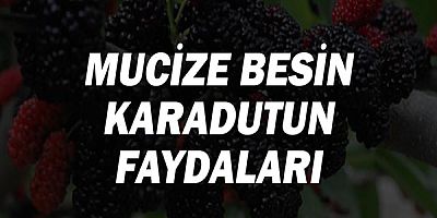 Mucize besin Karadut'un faydaları!