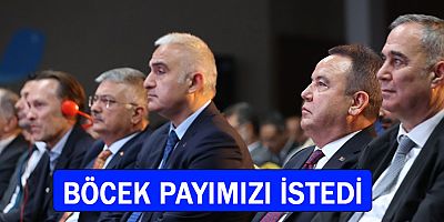 Muhittin Böcek Bakandan pay istedi.