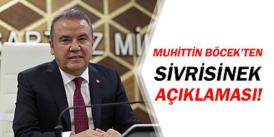 Muhittin Böcek'ten sivrisinekle mücadele açıklaması