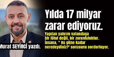 Murat Seyirci yazdı... 'Yılda 17 milyar zarar ediyoruz.'