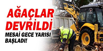 Muratpaşa'da fırtına mesaisi!