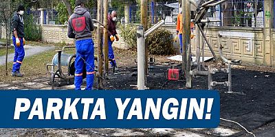Muratpaşa'da parkta yangın!