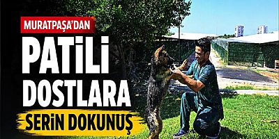 Muratpaşa’dan patili dostlara serin dokunuş