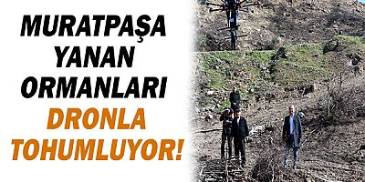 Muratpaşa yanan ormanları dronla tohumluyor!