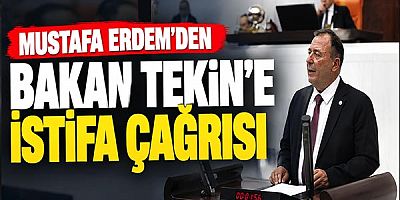 Mustafa Erdem'den Bakan Tekin'e İstifa Çağrısı