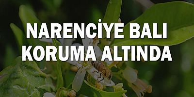 Narenciye balı koruma altında