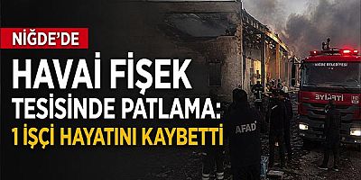 Niğde'de Havai Fişek Tesisinde Patlama: 1 İşçi Hayatını Kaybetti