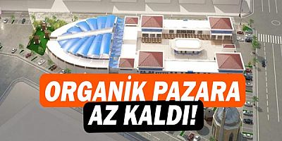 Organik pazara az kaldı!