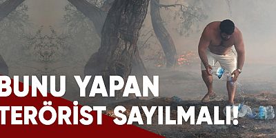 Orman yangınlarının terör kapsamına girmeli.