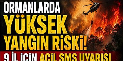 Ormanlarda Yüksek Yangın Riski: 9 İl İçin Acil SMS Uyarısı
