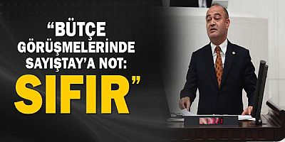 Özgür Karabat: Bütçe görüşmelerinde Sayıştay'a not: sıfır!