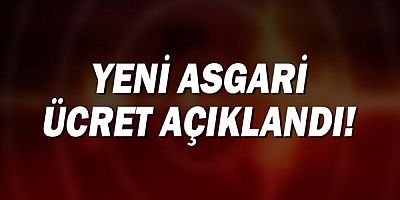 Recep Tayyip Erdoğan duyurdu! 2022 Temmuz Asgari ücret zammı belirlendi!