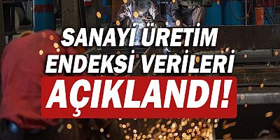 Sanayi üretim endeksi yıllık yüzde 11,4 arttı!