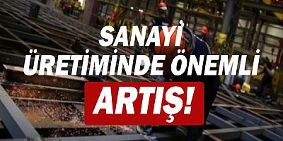Sanayi üretimi yıllık %8,9 arttı!