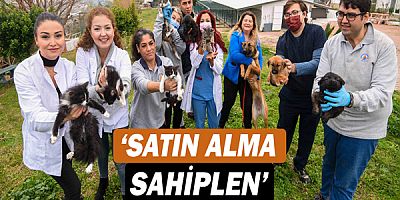 ‘Satın alma sahiplen’