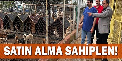 Satın alma sahiplen!