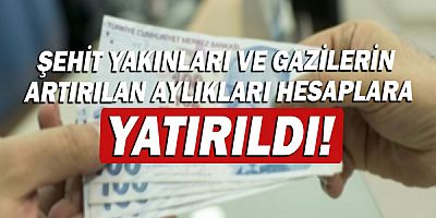 Şehit Yakınları ve Gazilere Nisanda toplam 8.299.200 TL ödendi!