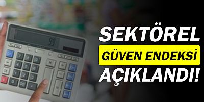 Sektörel güven endeksleri