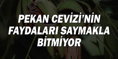 Selenyum Zengini; Pekan Cevizi'nin faydaları saymakla bitmiyor