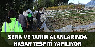 Sera ve tarım alanlarında hasar tespiti yapılıyor