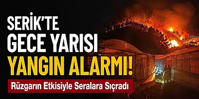 Serik'te Gece Yarısı Yangın Alarmı: Rüzgarın Etkisiyle Seralara Sıçradı