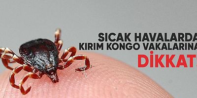 Sıcak Havalarda Kırım Kongo Vakalarına Dikkat!