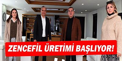 Şifa kaynağı zencefil üretimi başlıyor