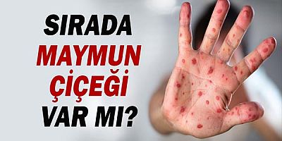 Sırada Maymun Çiçeği var mı?