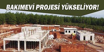 Sokak Hayvanları Bakımevi Projesi yükseliyor