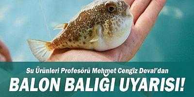 Su Ürünleri Profesörü Mehmet Cengiz Deval’dan Balon Balığı Uyarısı