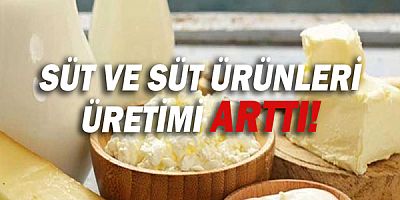 Süt ve Süt Ürünleri Üretimi arttı!