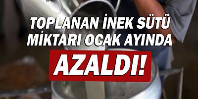 Süt ve süt ürünleri üretimi verileri açıklandı!