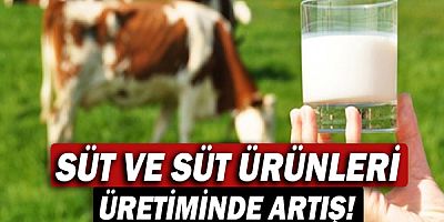 Süt ve süt ürünleri üretiminde artış!