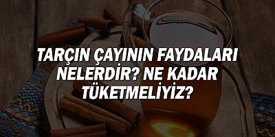 Tarçın Çayının Faydaları Nelerdir? Ne kadar tüketmeliyiz? 