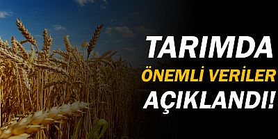 tarım