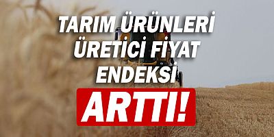 Tarım ürünleri üretici fiyat endeksi arttı!