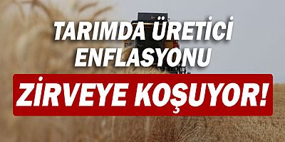 Tarım ürünleri üretici fiyat endeksi arttı!