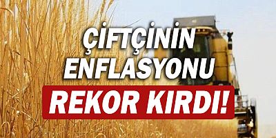 Tarım ürünleri üretici fiyat endeksi yıllık yüzde 36,39 arttı!