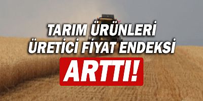Tarım ürünleri üretici fiyat endeksi yıllık yüzde 52 arttı!