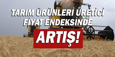 Tarım ürünleri üretici fiyat endeksi yıllık yüzde 84 arttı!