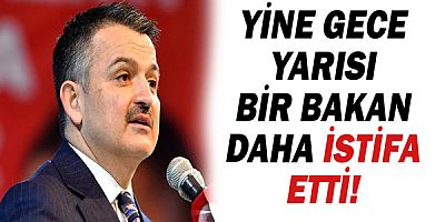 Tarım ve Orman Bakanı Bekir Pakdemirli istifa etti!