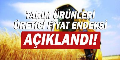 Tarımda üretici enflasyonunda yeni rekor: yüzde 68!