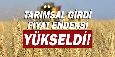 Tarımsal girdi enflasyonu rekor kırdı!