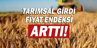 Tarımsal girdi fiyat endeksi aylık yüzde 16,69 arttı!